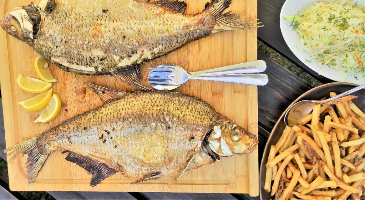 بوغاتشفو Pensjonat Rybaczowka - Noclegi, Restauracja, Port المظهر الخارجي الصورة