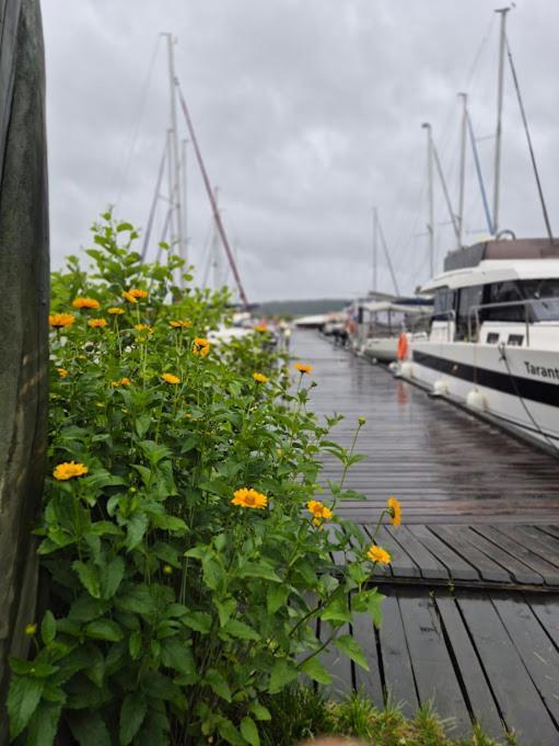 بوغاتشفو Pensjonat Rybaczowka - Noclegi, Restauracja, Port المظهر الخارجي الصورة